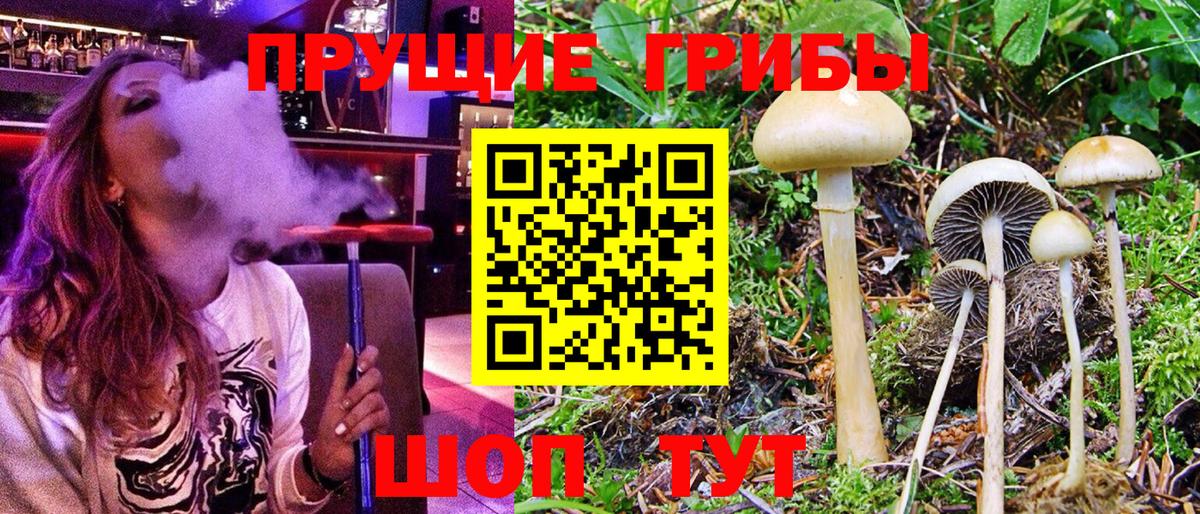 Кимры  Псилоцибиновые грибы мухоморы  Вход с VPN 