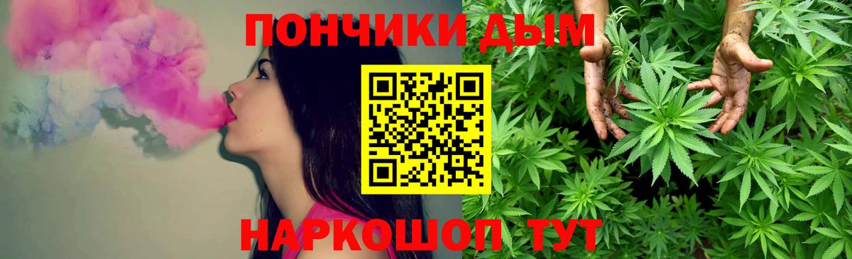 Шишки марихуана White Widow  Конопля сатива  Бошки марихуана планчик  Бошки Шишки марихуана  Кимры  Вход с VPN 